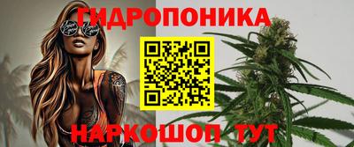 apvp Гатчина