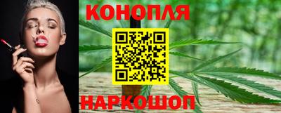 apvp Гатчина