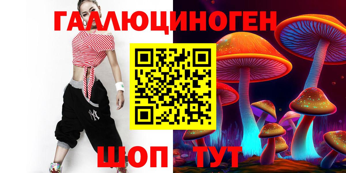 Галлюциногенные грибы Psilocybine cubensis Нерюнгри