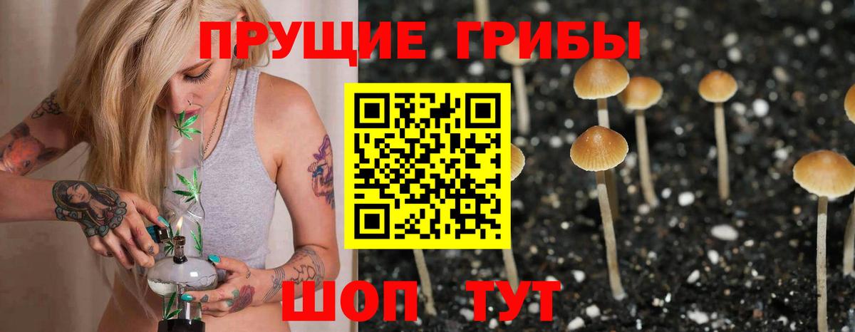 Нерюнгри  Галлюциногенные грибы ЛСД  Галлюциногенные грибы Cubensis  Вход с VPN 
